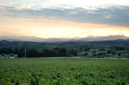 VINYES DELS ASPRES