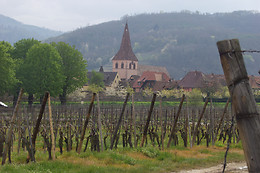 Domaine André Blanck et ses fils