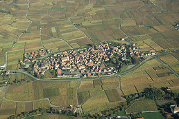 Domaine André Blanck et ses fils
