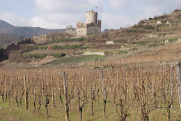 Domaine André Blanck et ses fils