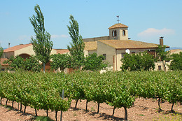 CELLER JOSEP FORASTER