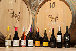 CELLER JOSEP FORASTER