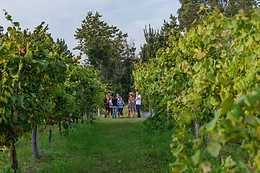 BODEGA ADEGA EIDOS