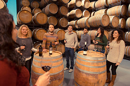 CELLER MASROIG