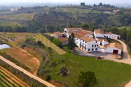 BODEGA MIQUEL JANÉ