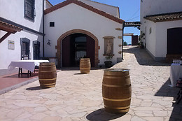 BODEGA MIQUEL JANÉ