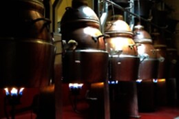 BODEGA PICOS