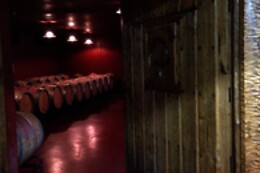 BODEGA PICOS