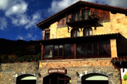 BODEGA PICOS