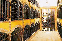CATAVINUM
