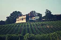 Chateau Labastidié