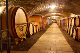 Vignobles et Vins Picard