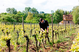 Domaine Brand et Fils