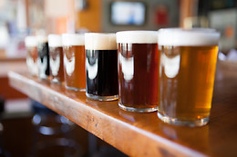 CERVESERIA MATOLL