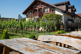 Domaine Pierre Adam