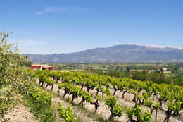 BODEGA MARQUES DE MONTECIERZO