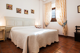 HOTEL PALACIO LAS MANILLAS