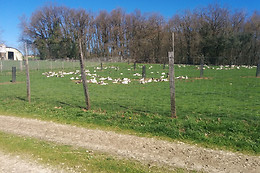 Ferme de Souleilles