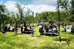 Ferme de Souleilles