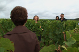 Domaine du Vieil Orme