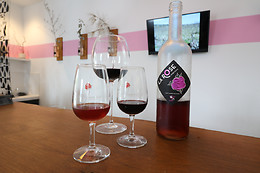 Domaine Saint Laurent de Saurs
