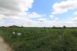 Domaine Saint Laurent de Saurs