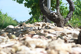 Domaine de Carcenac