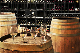 L'Agence du Sommelier