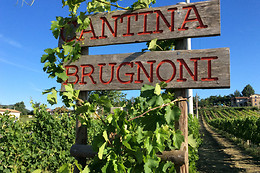 Cantina Brugnoni