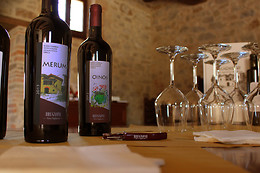 Cantina Brugnoni