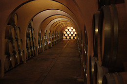 BODEGA LAS VIRTUDES