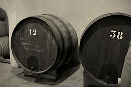 BODEGA LAS VIRTUDES