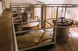 BODEGAS TAMPESTA