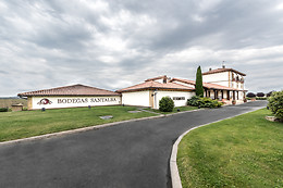 BODEGAS LOS PINOS