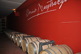 BODEGA DOMINIO DE MAESTRAZGO