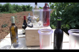 VILE LA FINCA