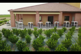 VILE LA FINCA