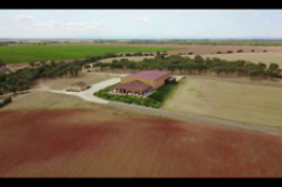 VILE LA FINCA