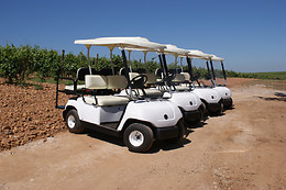 VILE LA FINCA