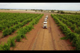 VILE LA FINCA