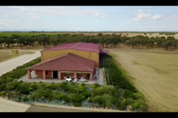 VILE LA FINCA
