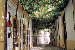 BODEGAS TIO PEPE