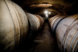BODEGAS GRUPO RUBERTE