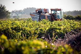 BODEGAS GRUPO RUBERTE
