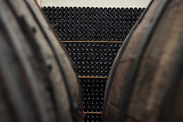BODEGAS GRUPO RUBERTE