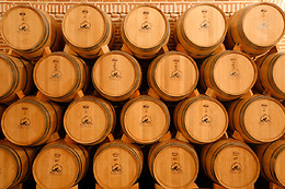 BODEGAS Y VIÑEDOS CASTIBLANQUE