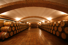 BODEGAS Y VIÑEDOS CASTIBLANQUE