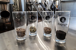 MICROCERVECERÍA ESPIGA
