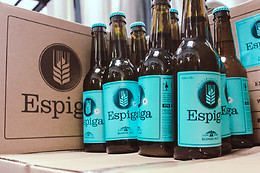 MICROCERVECERÍA ESPIGA