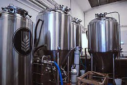 MICROCERVECERÍA ESPIGA